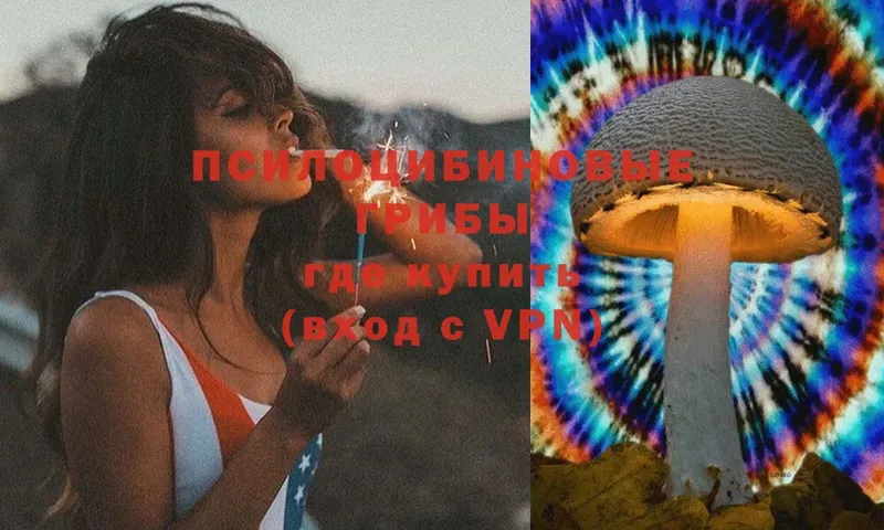 Псилоцибиновые грибы Cubensis  Кирово-Чепецк 